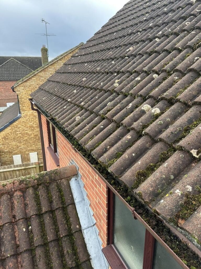 ROOF CLEANING HARROW1